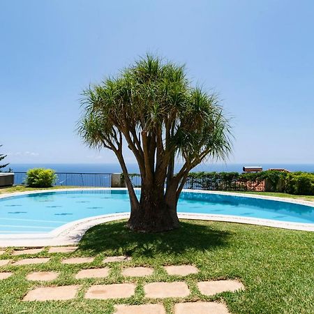 Vila Eucalipto By An Island Apart Funchal  Exterior photo